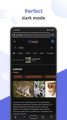 Lemur Browser - extensions android App screenshot 12