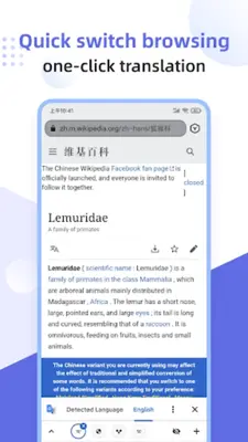 Lemur Browser - extensions android App screenshot 7